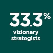 33.3% Visionary Strategists portrait