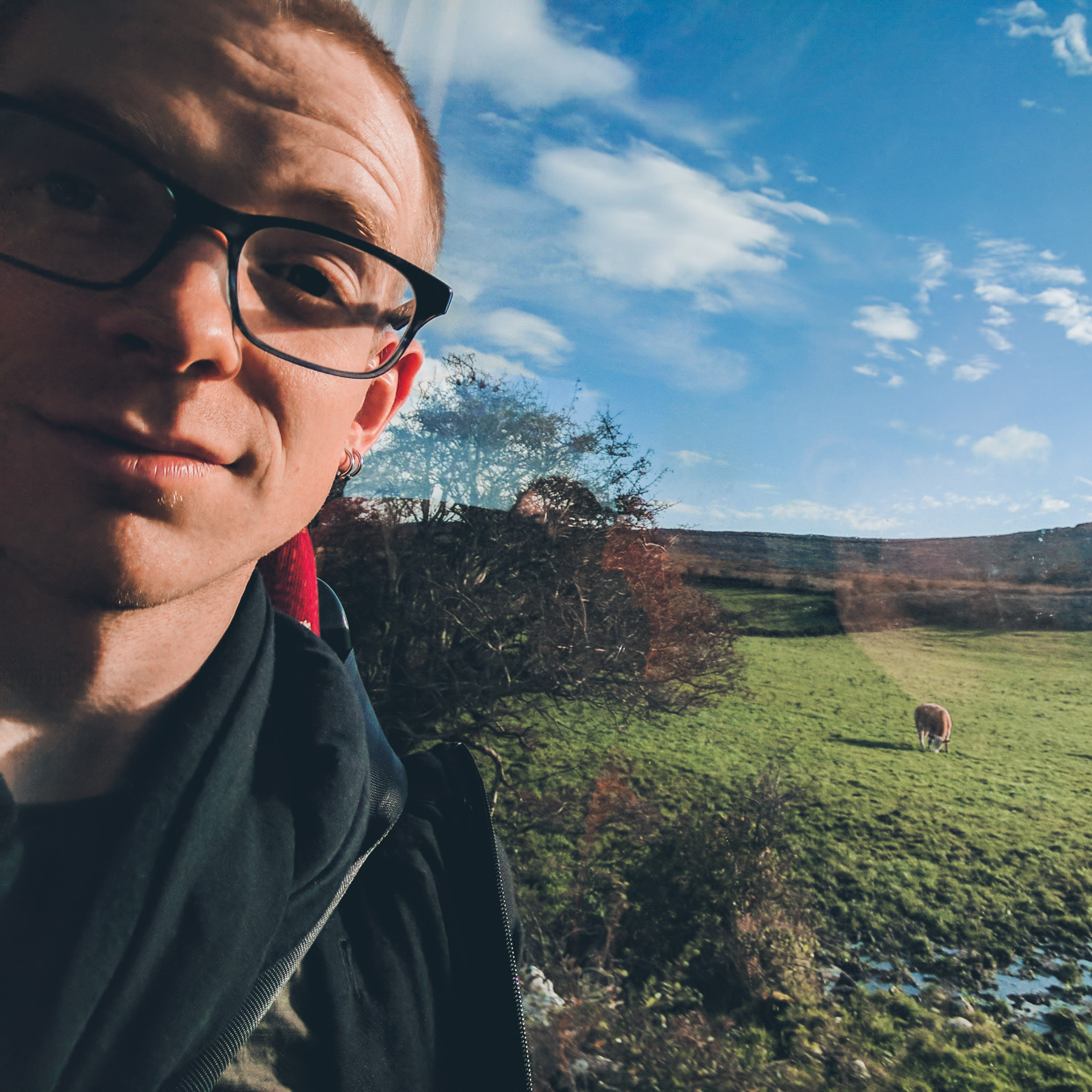 Peter portrait